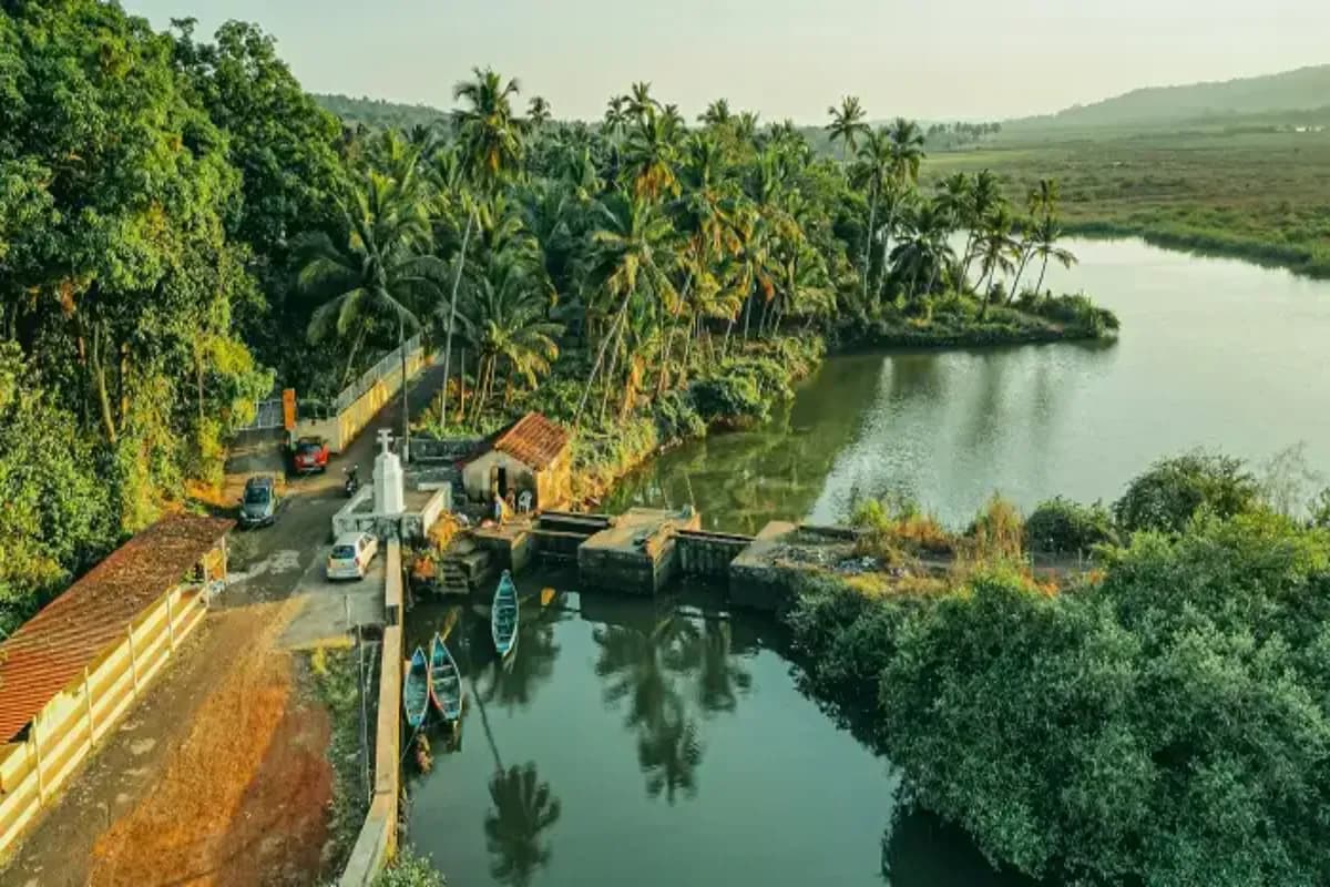 Chorao Island