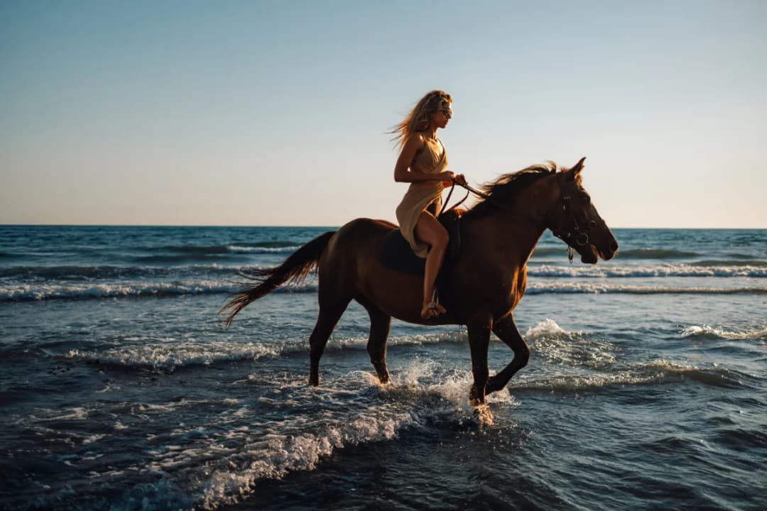 Horseback Riding