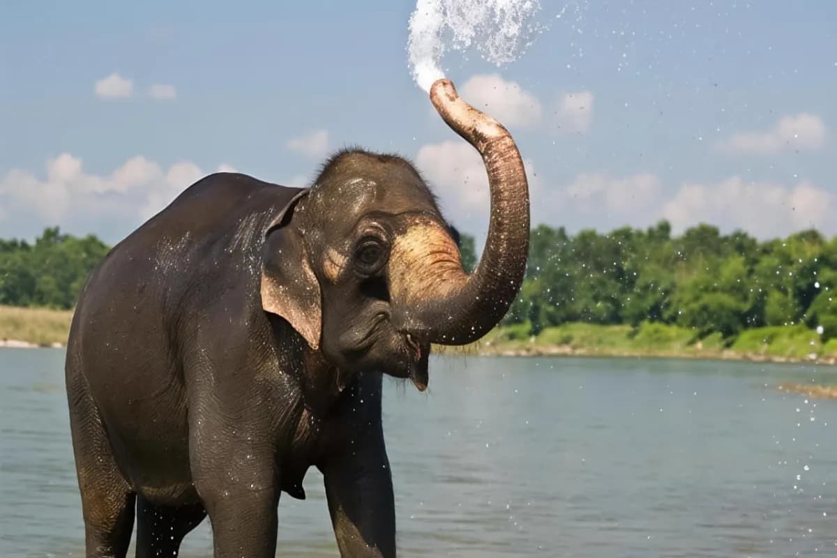 Campbell Bay National Park