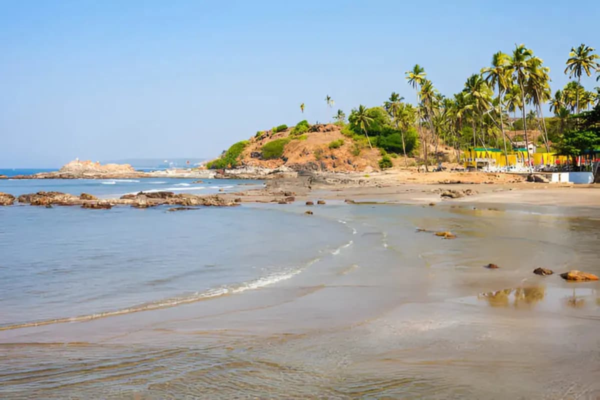 Chorao Island