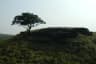 Balpakram National Park in Meghalaya