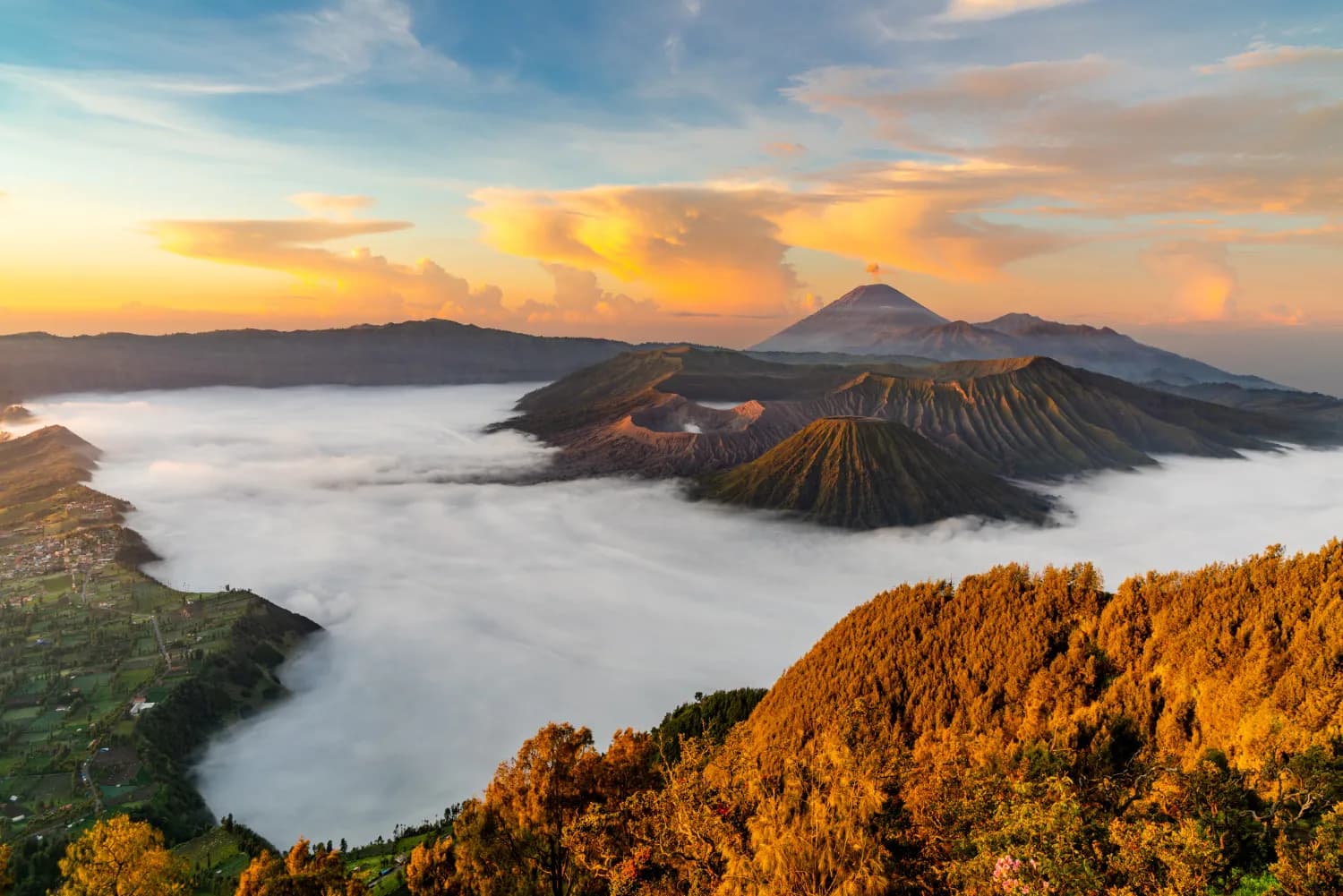 Hello Bali