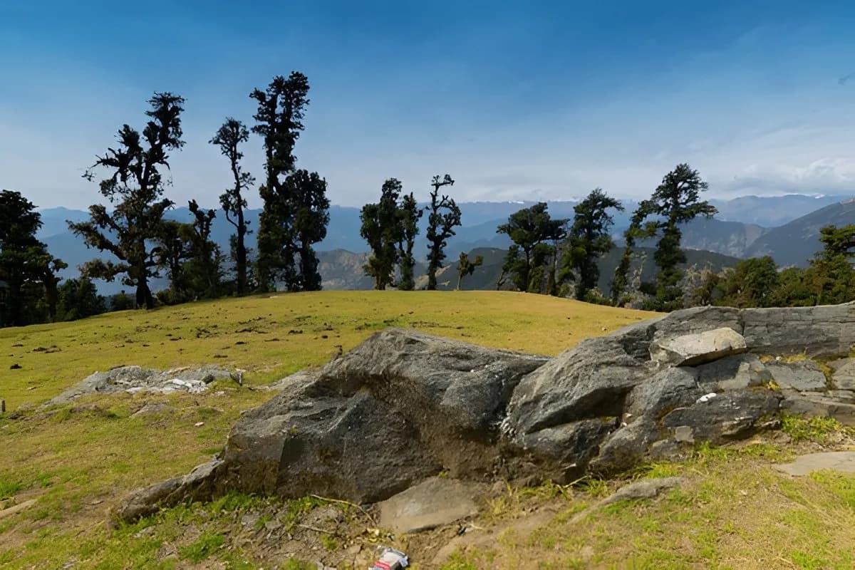 Chopta Bugyal
