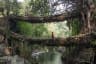 A boy standing in between Living Root Bridge