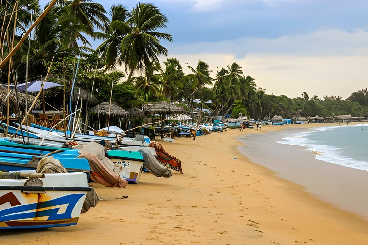 Arugam Bay