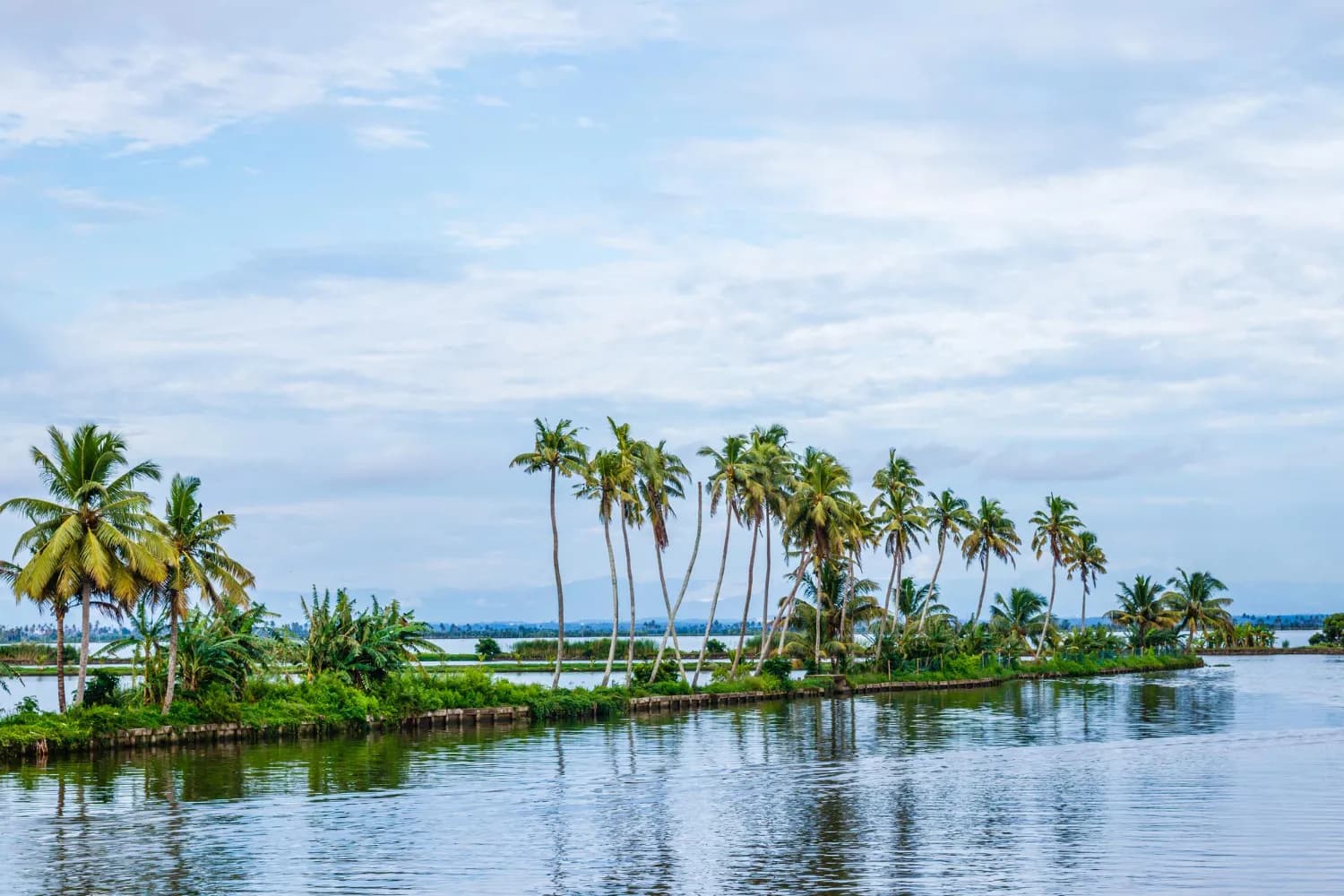 Kerala Highlands 