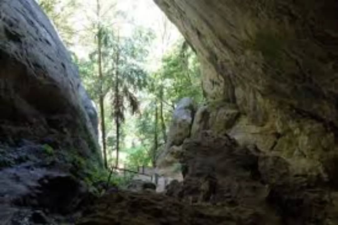 Ravana Tunnel Network