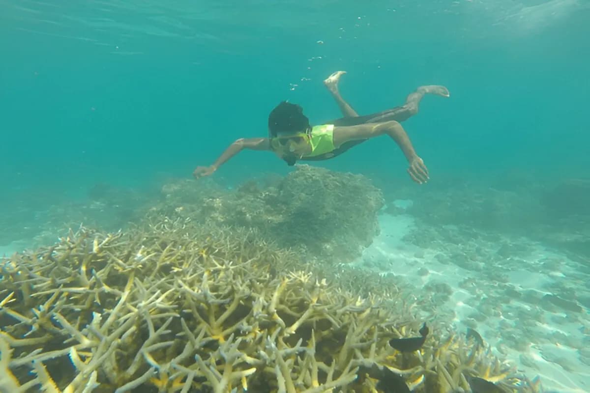 Scuba Diving in Lakshadweep