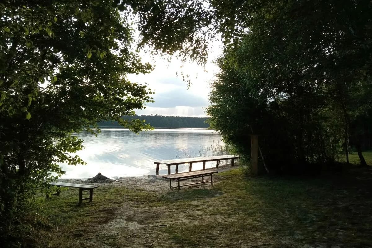 Image of Bench Near Ward's Lake