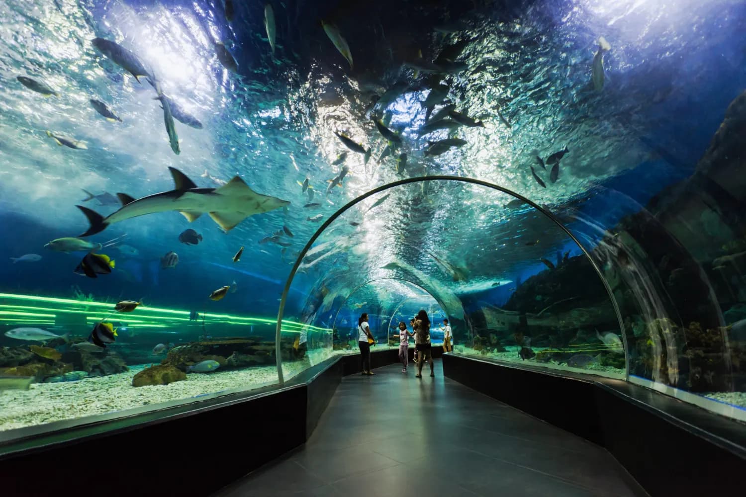 dubai aquarium