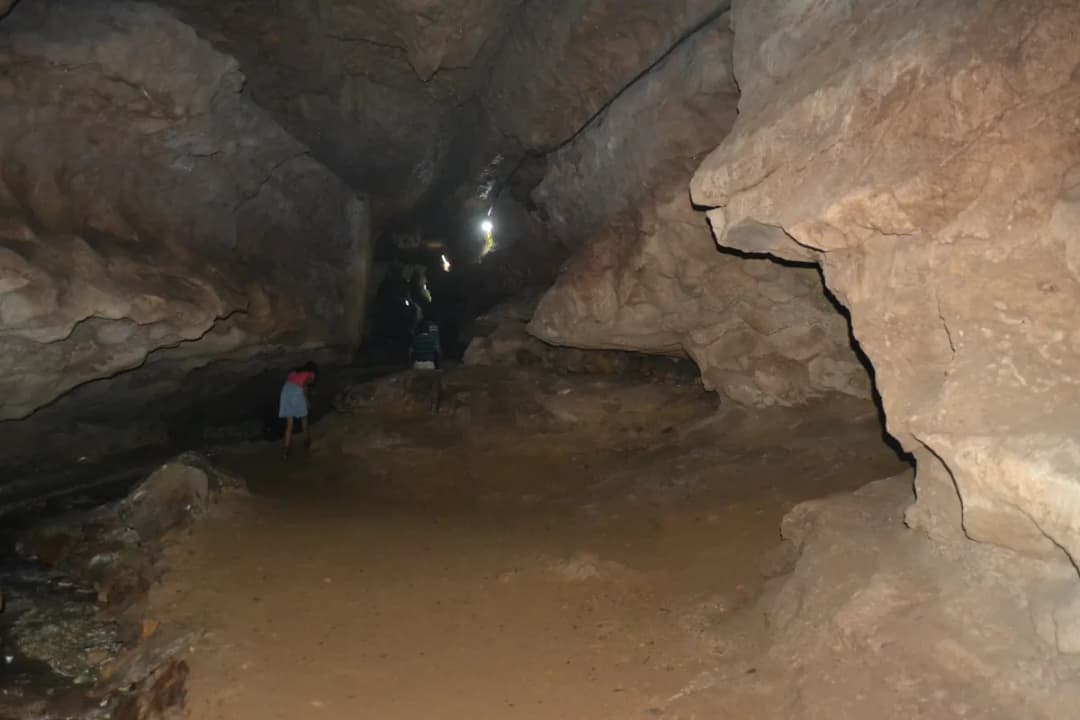 Limestone Cave Walls