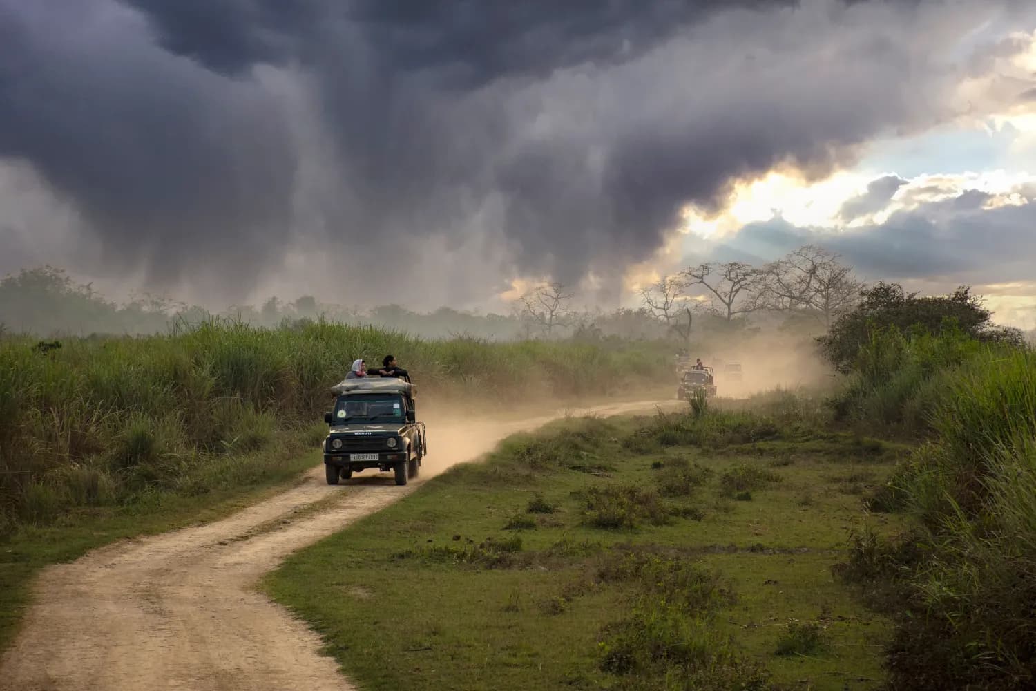 Tourists enjoying forest safari in the evening at Kaziranga National Park