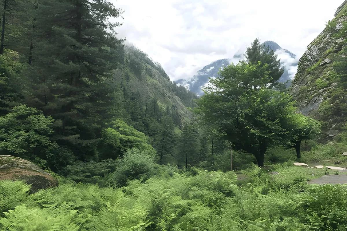 Pin Parvati Pass Trek