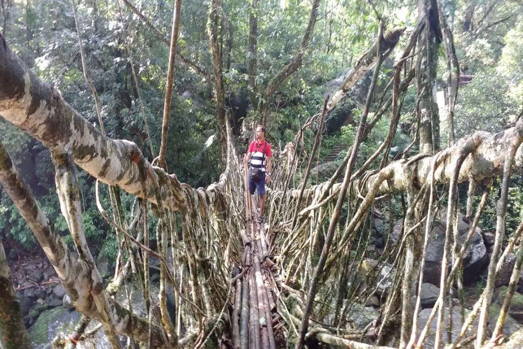 Living Root Bridges Trek
