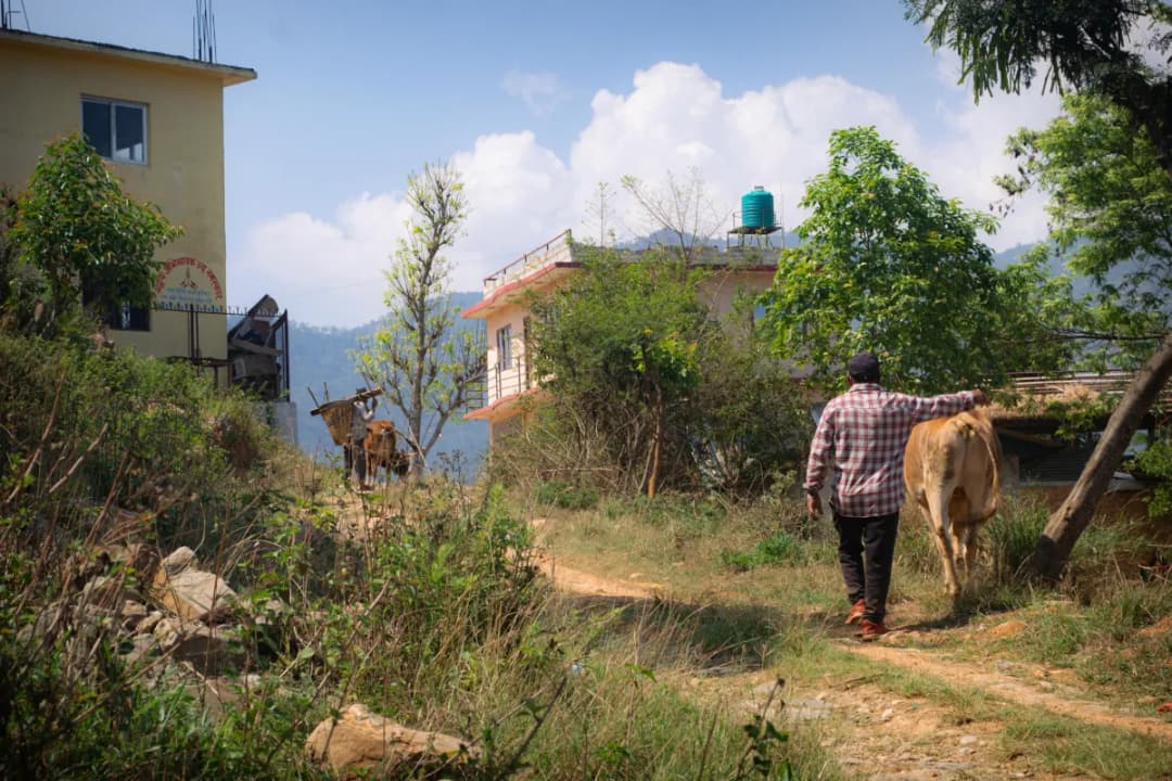 Local Village Visits