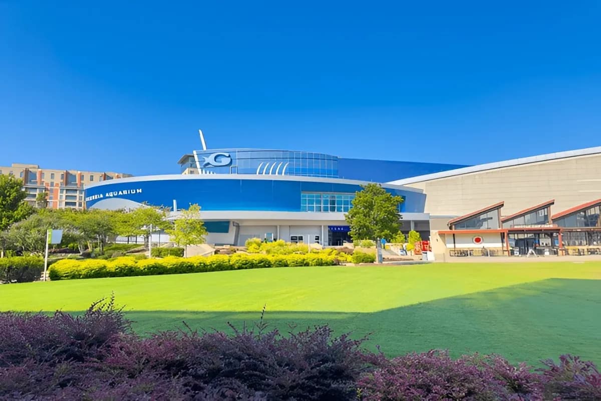 Georgia Aquarium