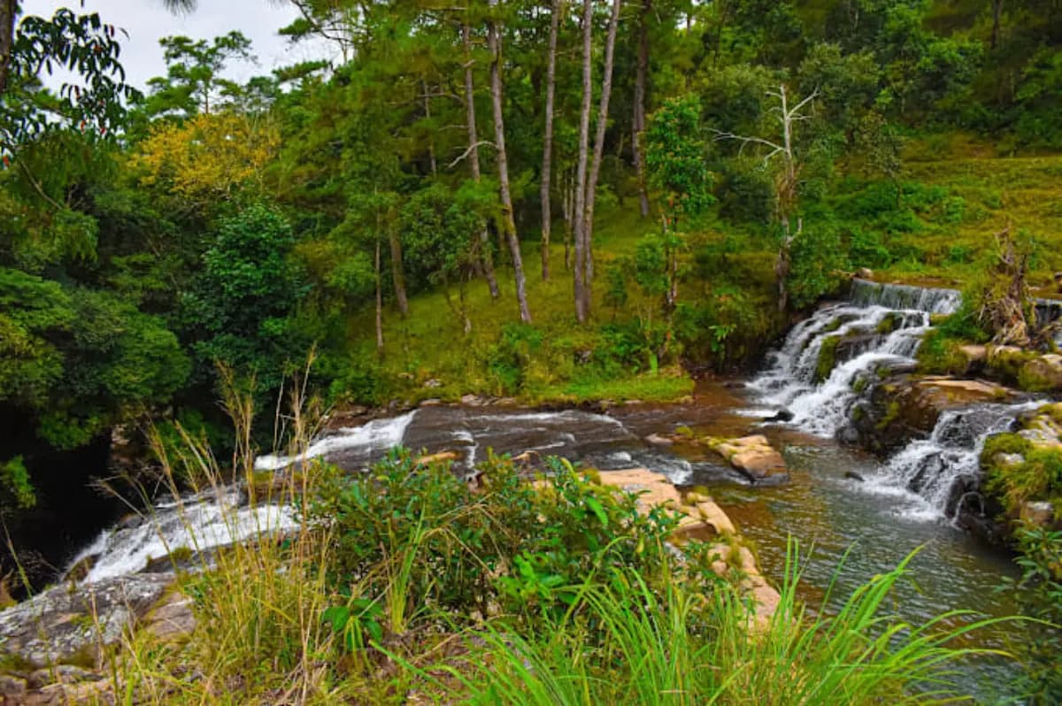 Tyrshi Waterfall View