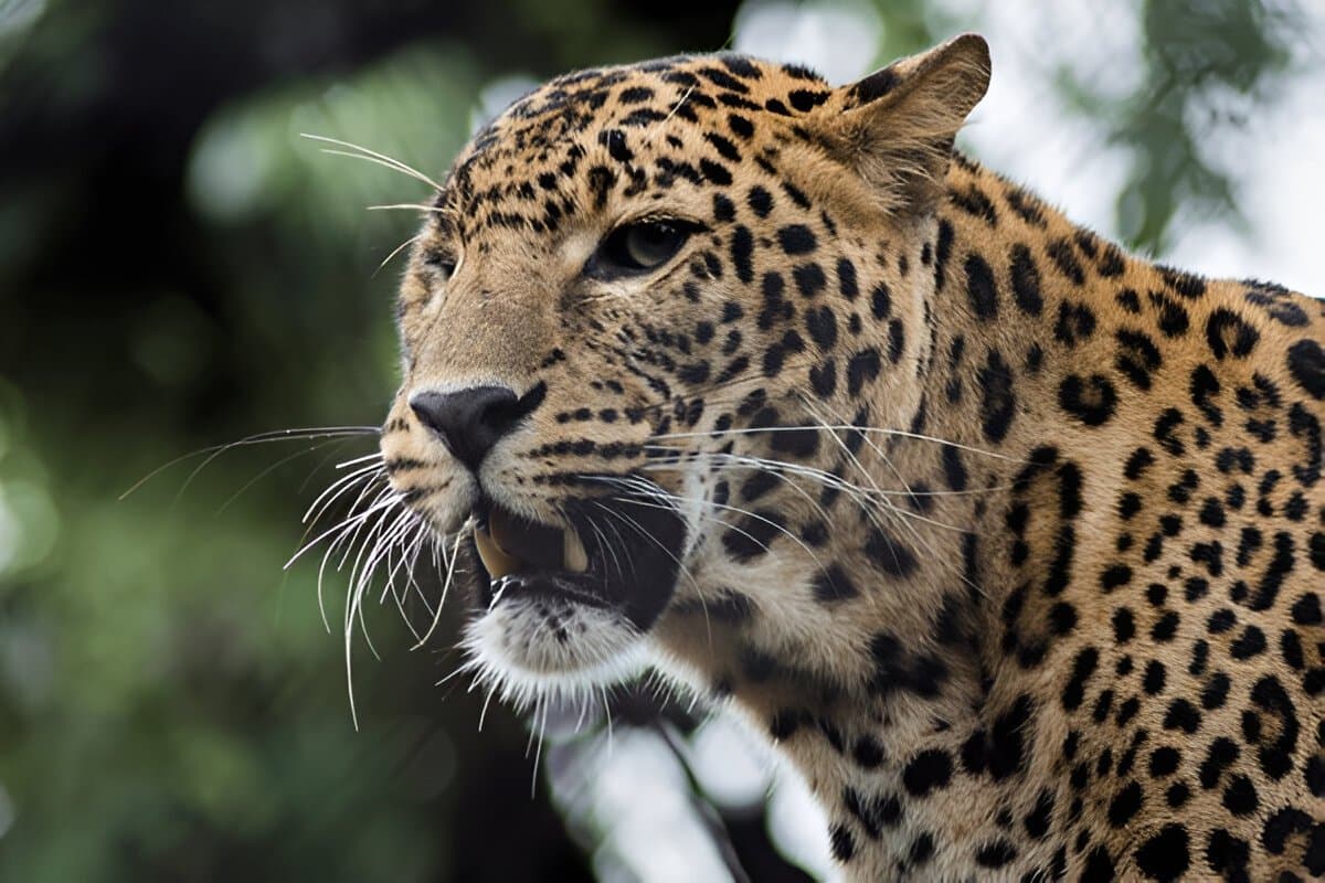 Naintal Zoo