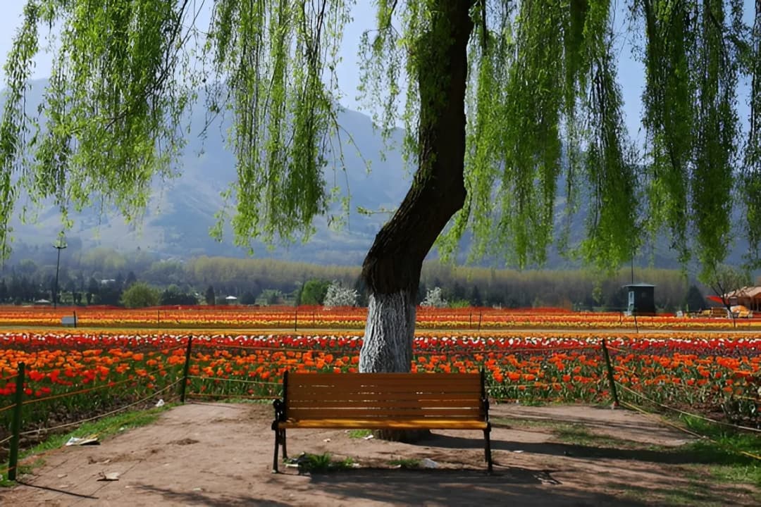 Perfect for photography lovers