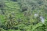 Image of Ayung Valley River in Bali