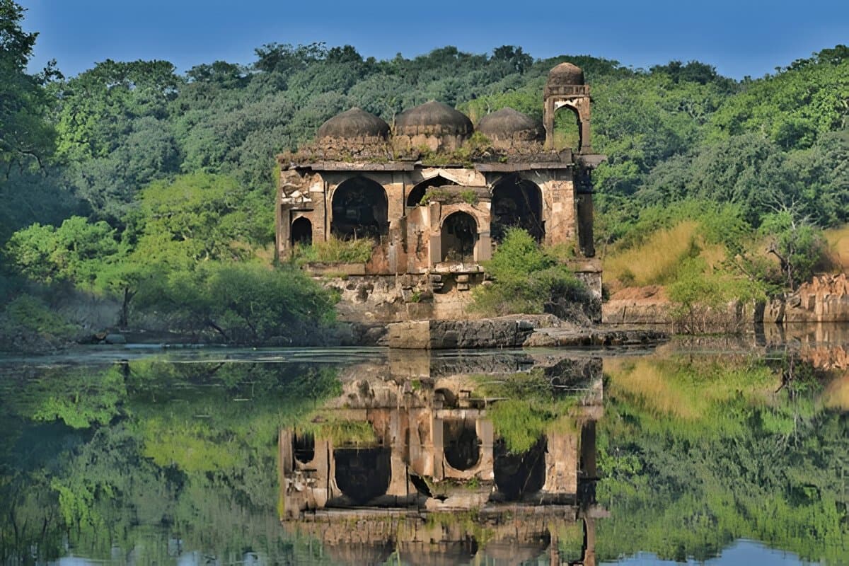 Weekend trip to Ranthambore - Private Jungle Safaris