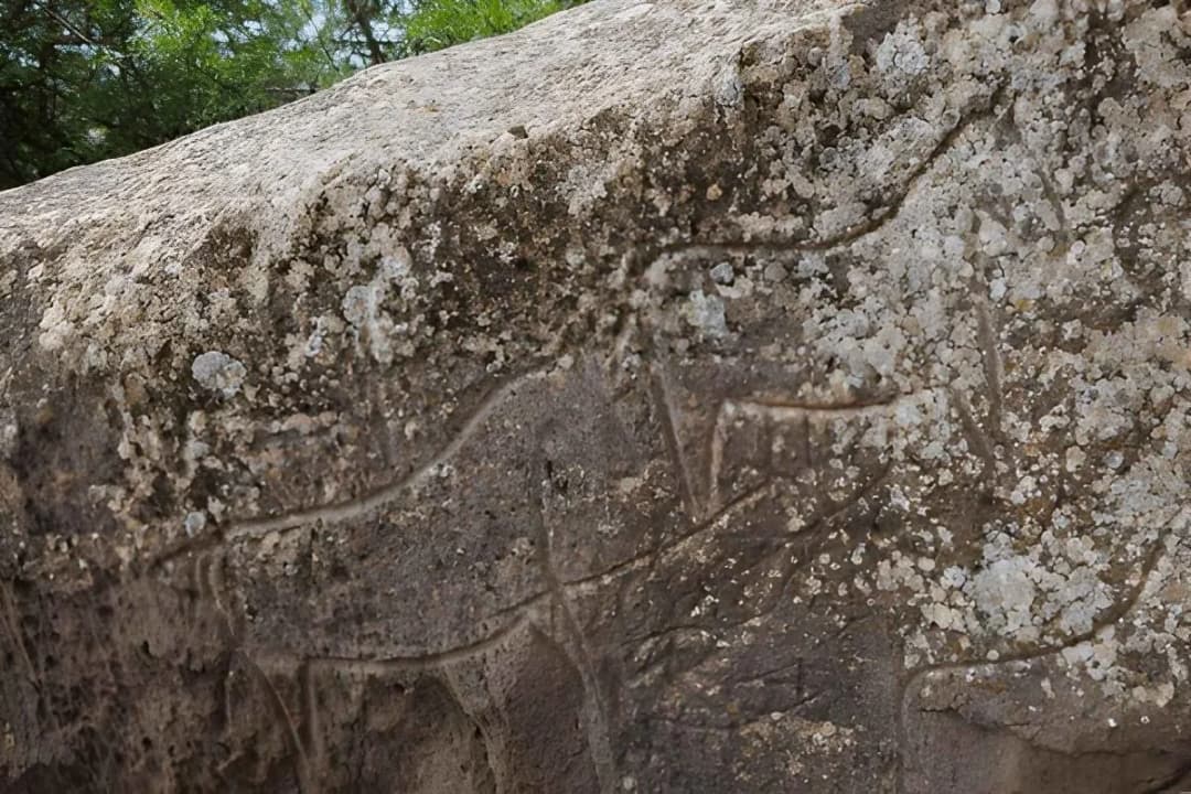 Rock Engravings and Petroglyphs