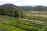 terraced-cultivation