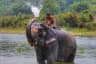 Chitwan National Park