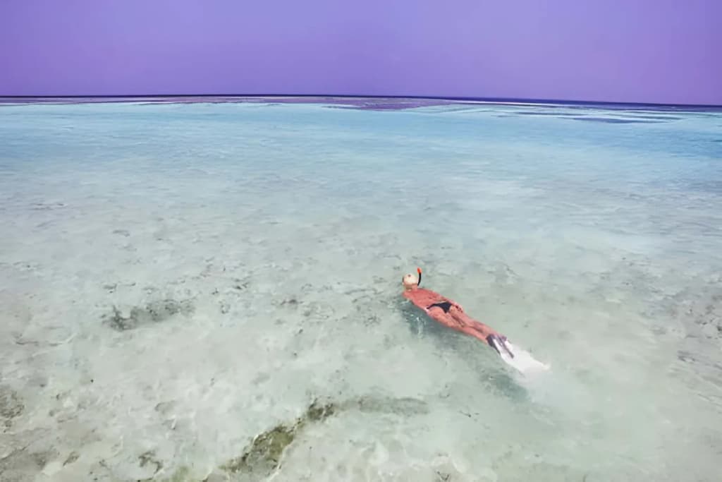 Snorkeling & Marine Life