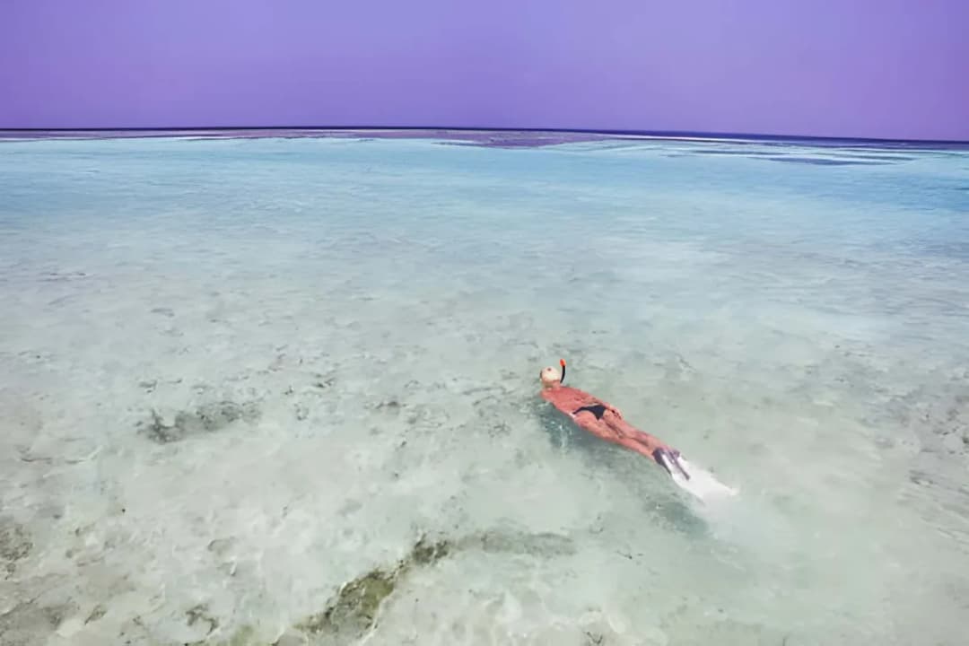 Snorkeling & Marine Life