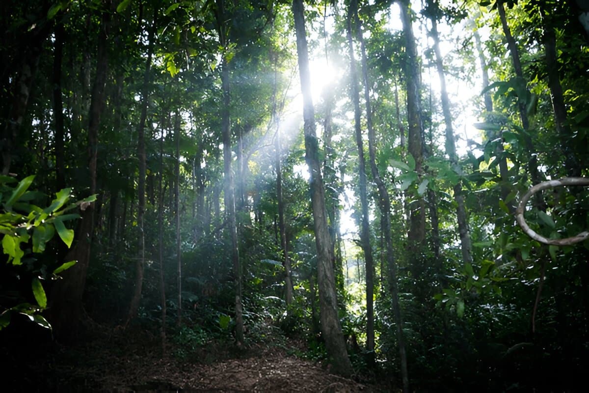 Mount Harriet National Park