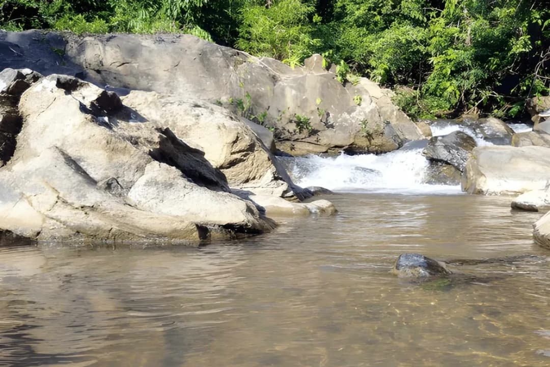 Riverside Picnic Spots