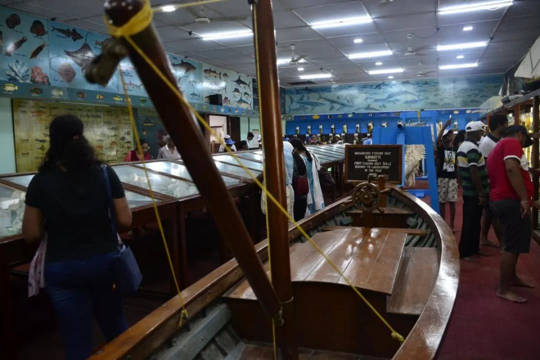 Interactive Learning Area