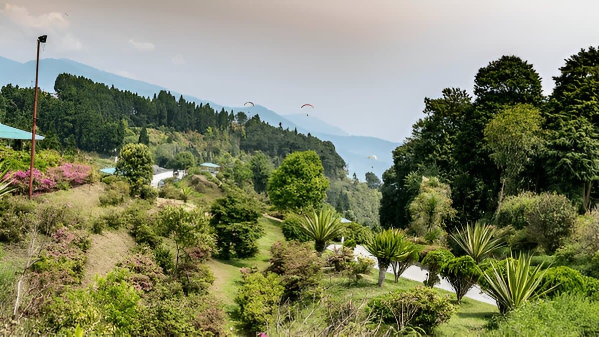 Deolo View Point