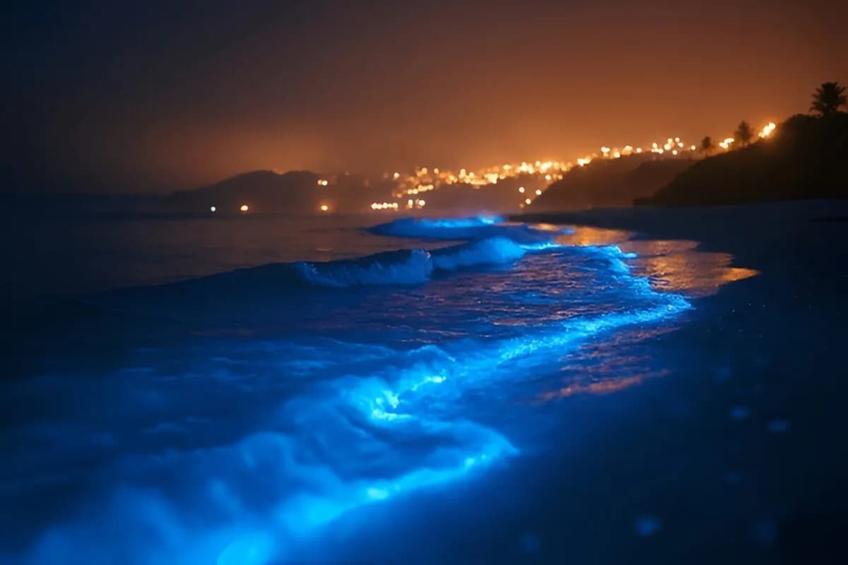 Glowing Beach Lakshadweep