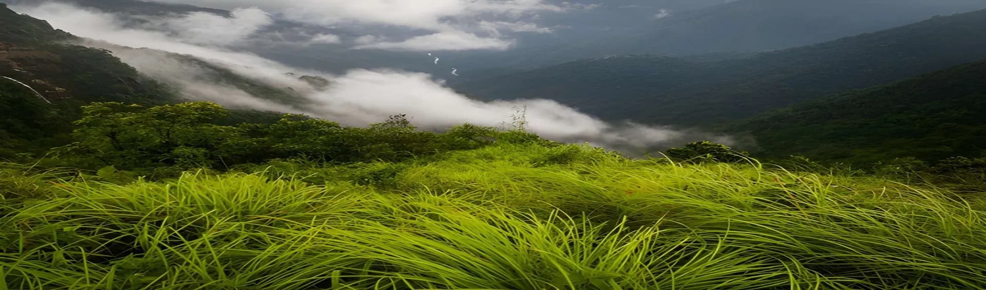Meghalaya in July: Is Visiting During Peak Monsoon Worth It?