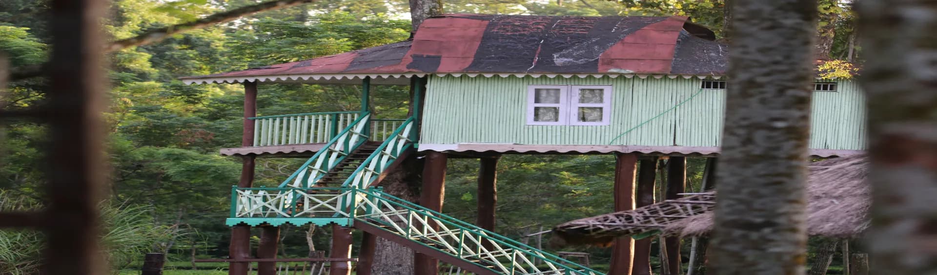 Tree House in Himachal Pradesh
