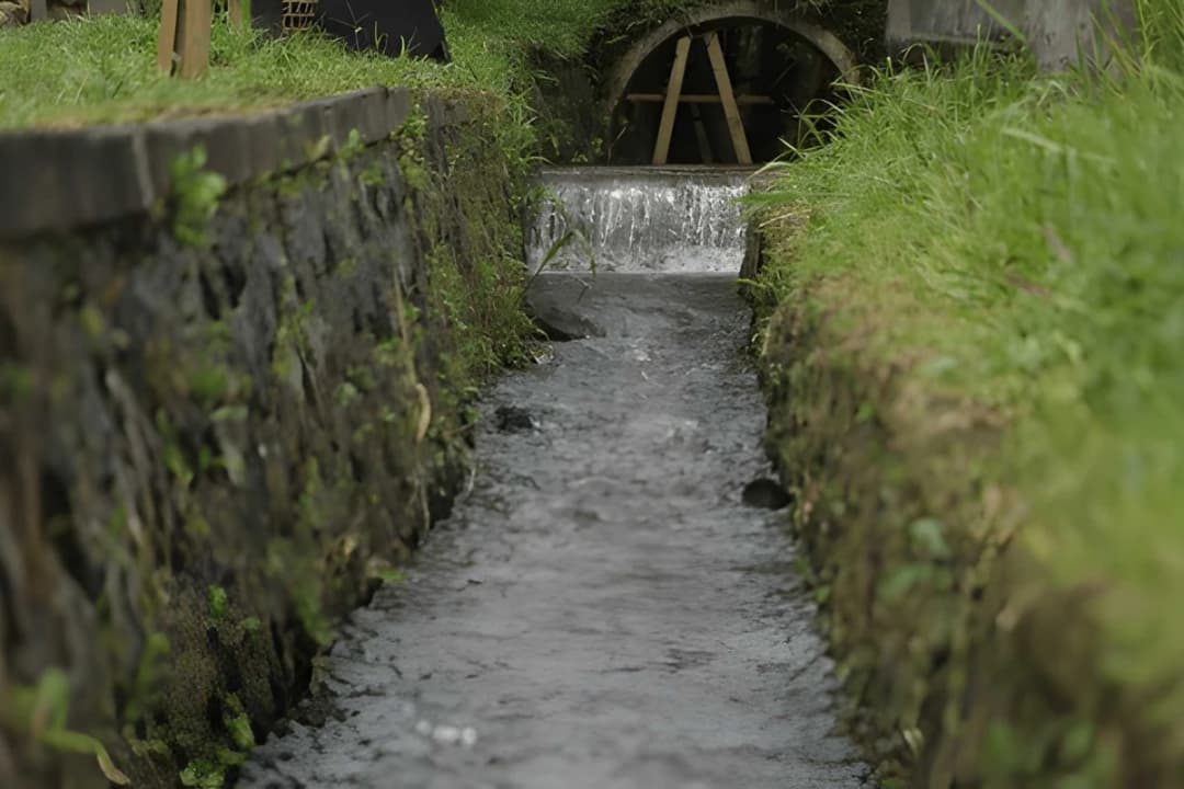 Subak Irrigation Channels