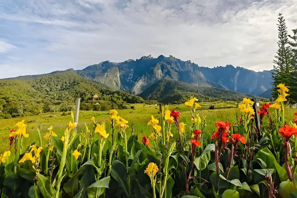 kinabalu national park