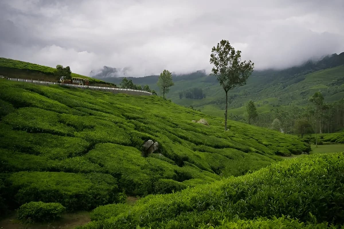 Munnar Hill Station