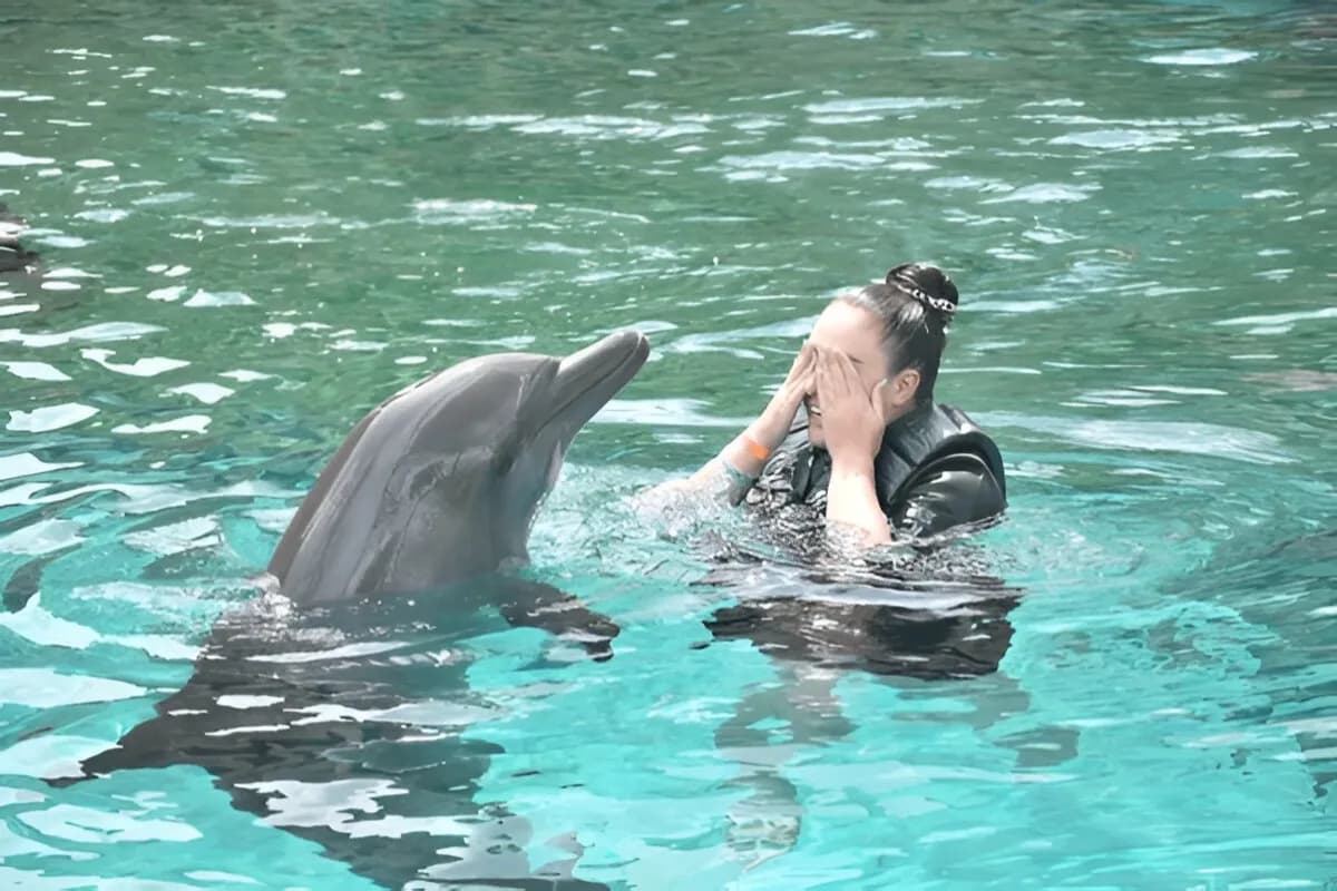 Marine Mammal Habitat