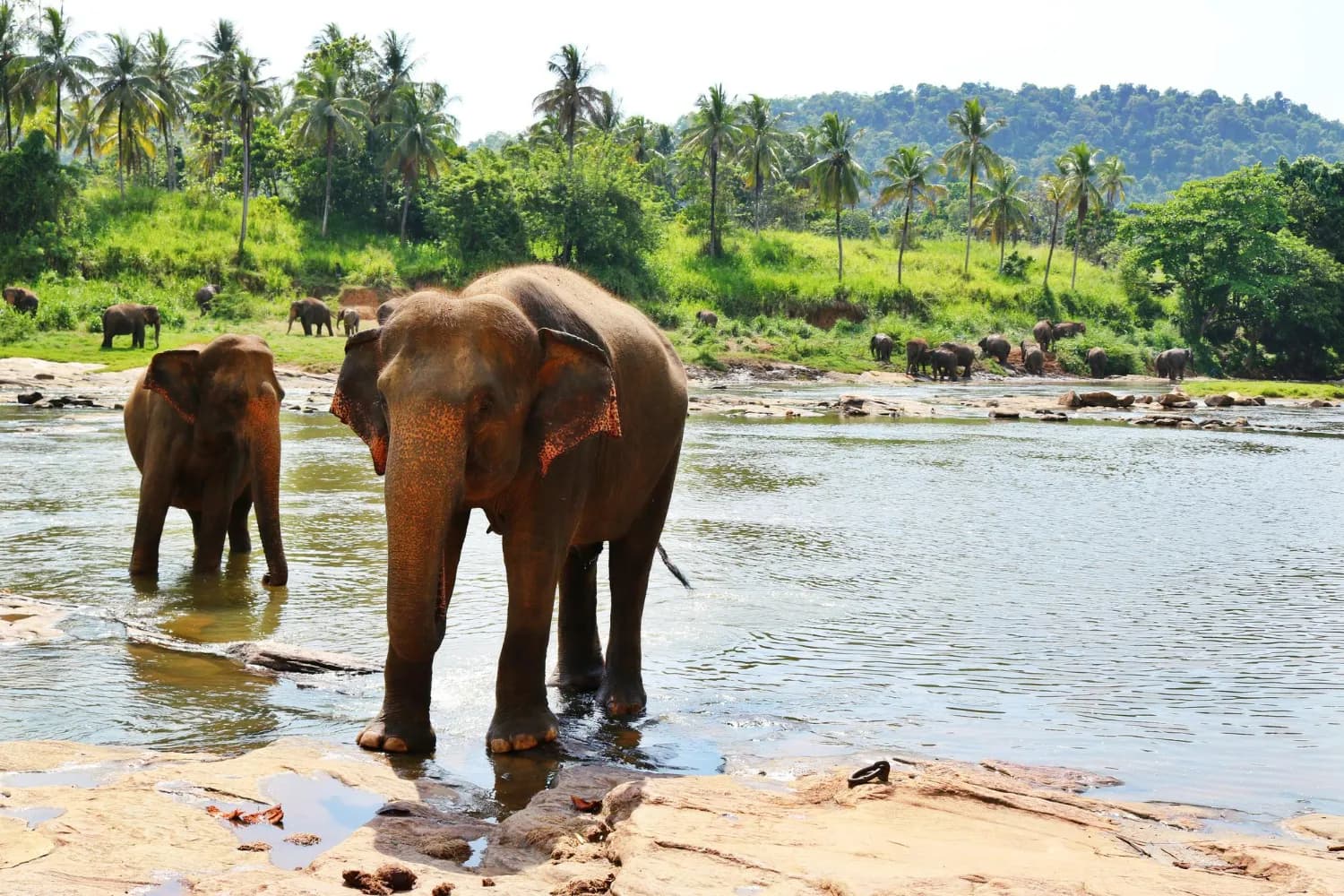 Timeless Sri Lanka