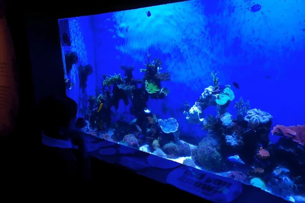 Aquaria KLCC
