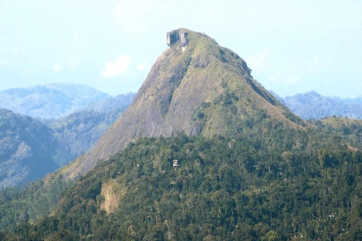 Pettimudi Hill Top