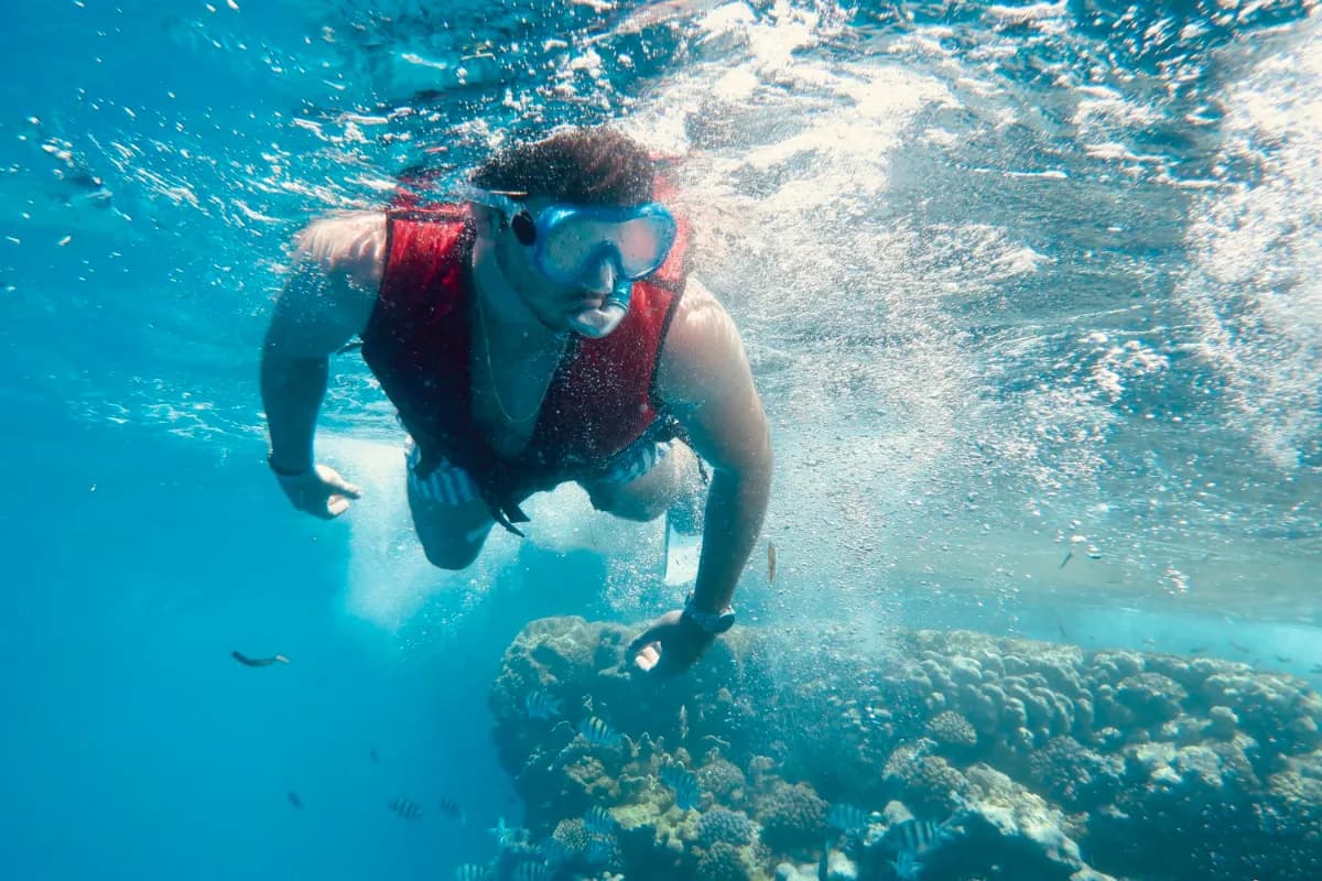 Snorkelling in Andaman