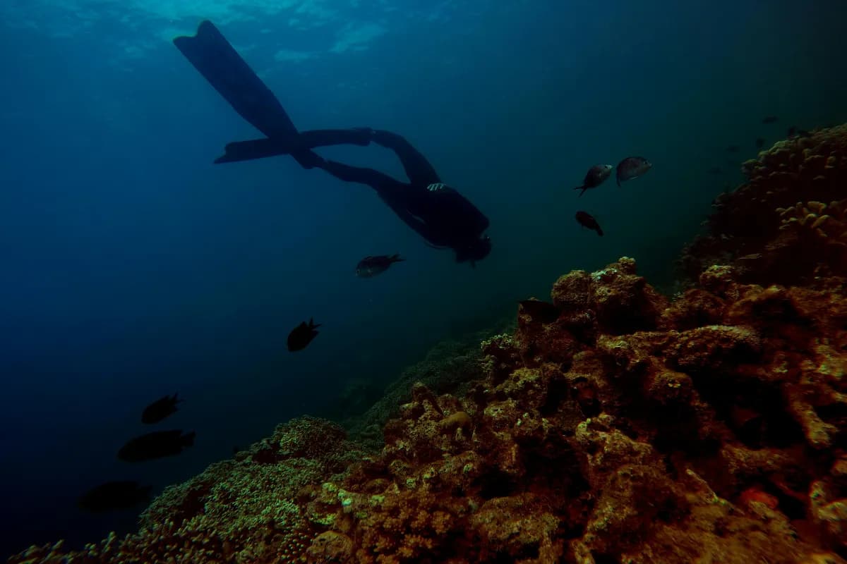 Scuba Diving in Vietnam