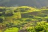 Terraced rice fields in a valley in Sa Pa, Vietnam