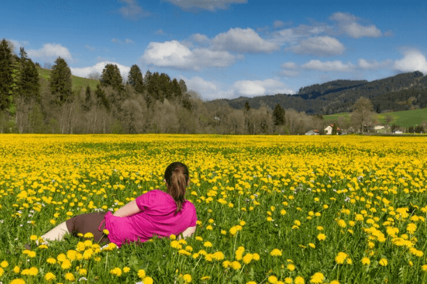 Conquering the Valley of Flowers in Uttarakhand: A Challenging Yet Rewarding Trek