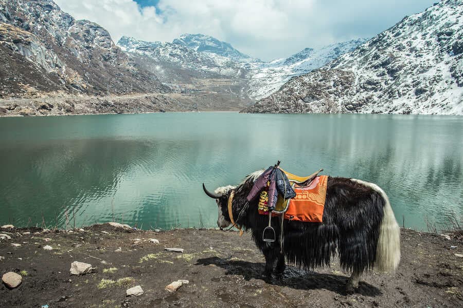 Best Gangtok Honeymoon Package for Newlyweds