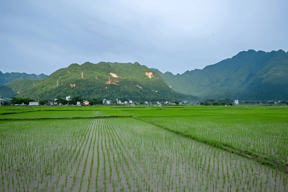 Mai Chau, Vietnam